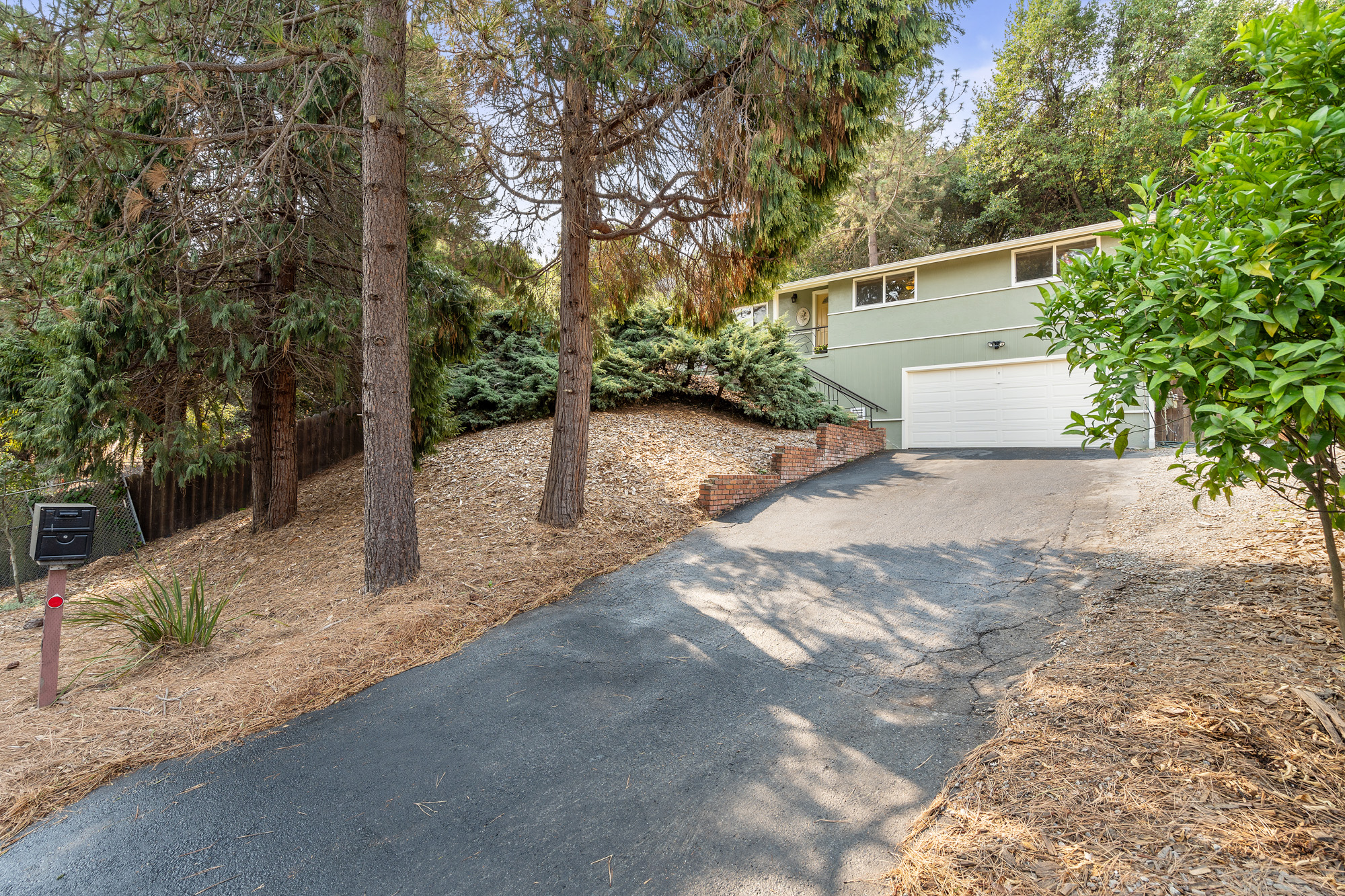 (1) Copy of DSC03947