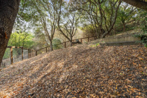 (16C) Copy of DSC03827