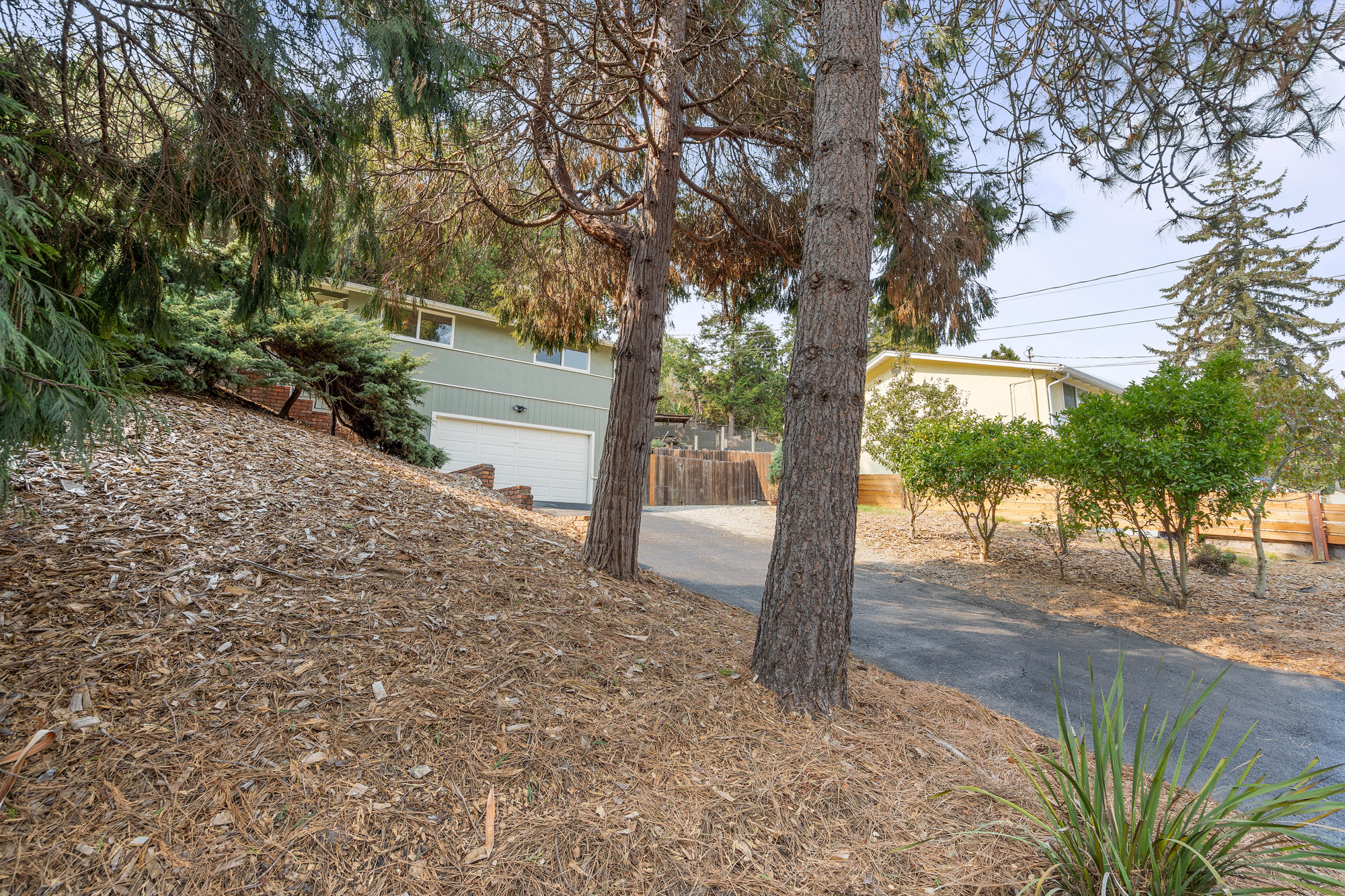 (2) Copy of DSC03944