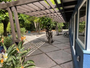 39 - Trellis and Patio