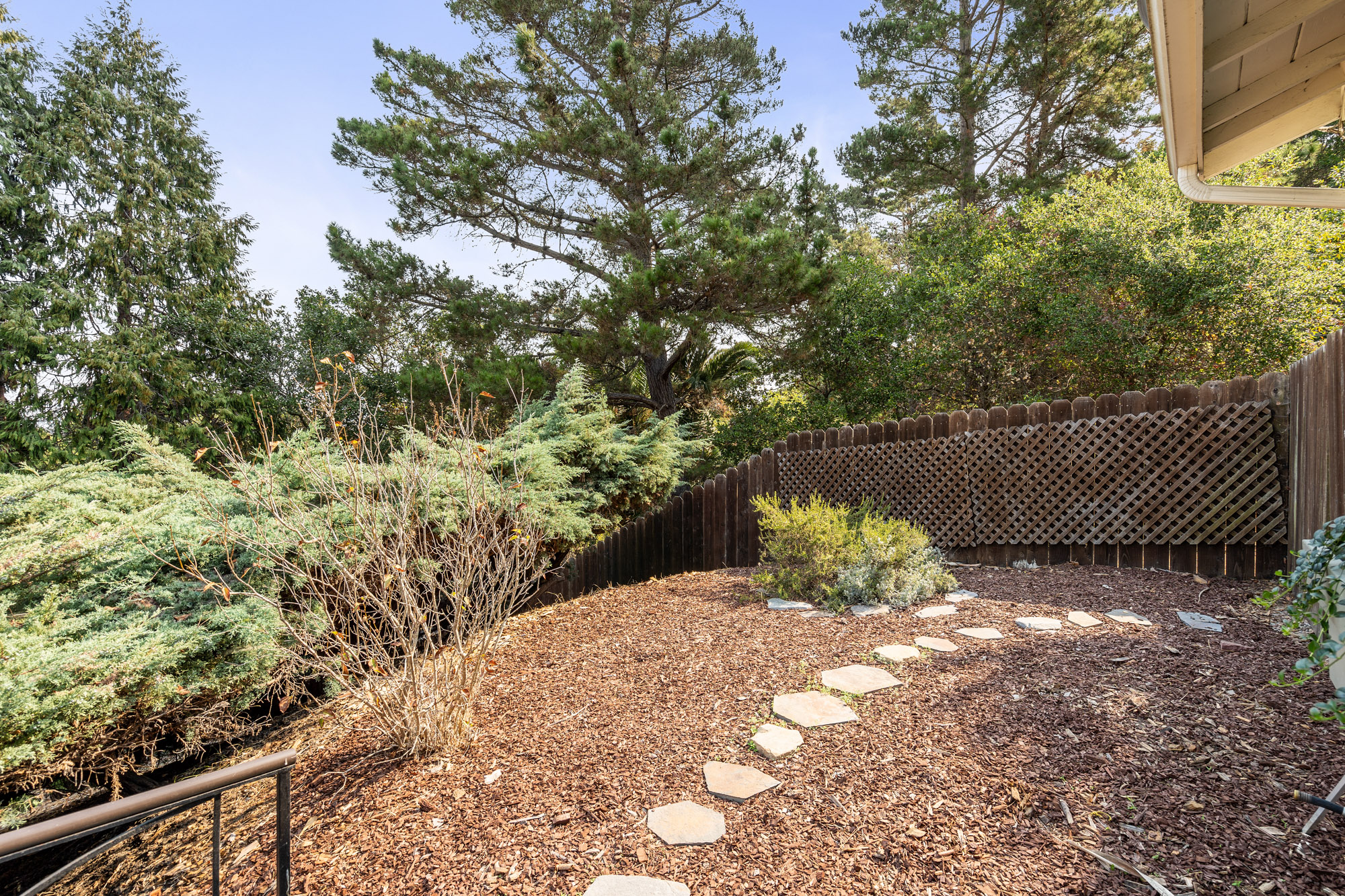 (6) Copy of DSC03932